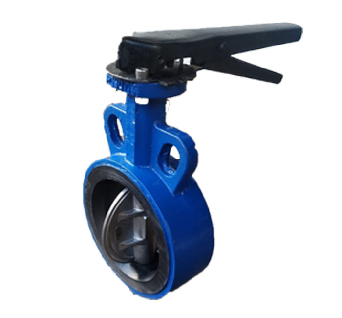 Center Disc Butterfly Valve