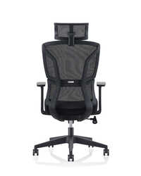 U-079A Ergonomic Adjustable Office Chair
