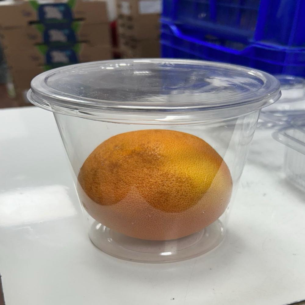 1000ml Container With Lid