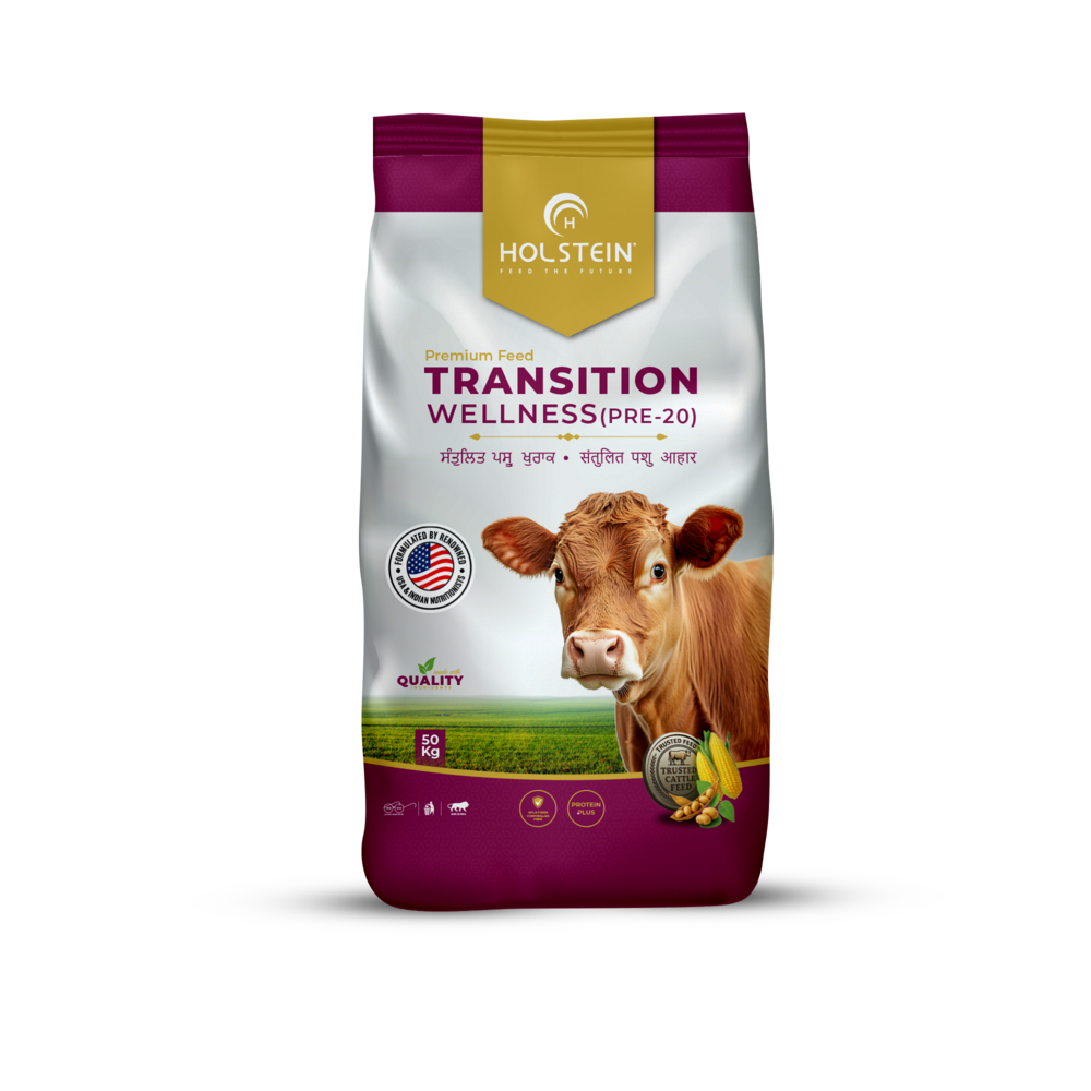 Holstein Transition Wellness (Pre-20) - Premium Transition Cattle Feeds - Physical Form: Powder