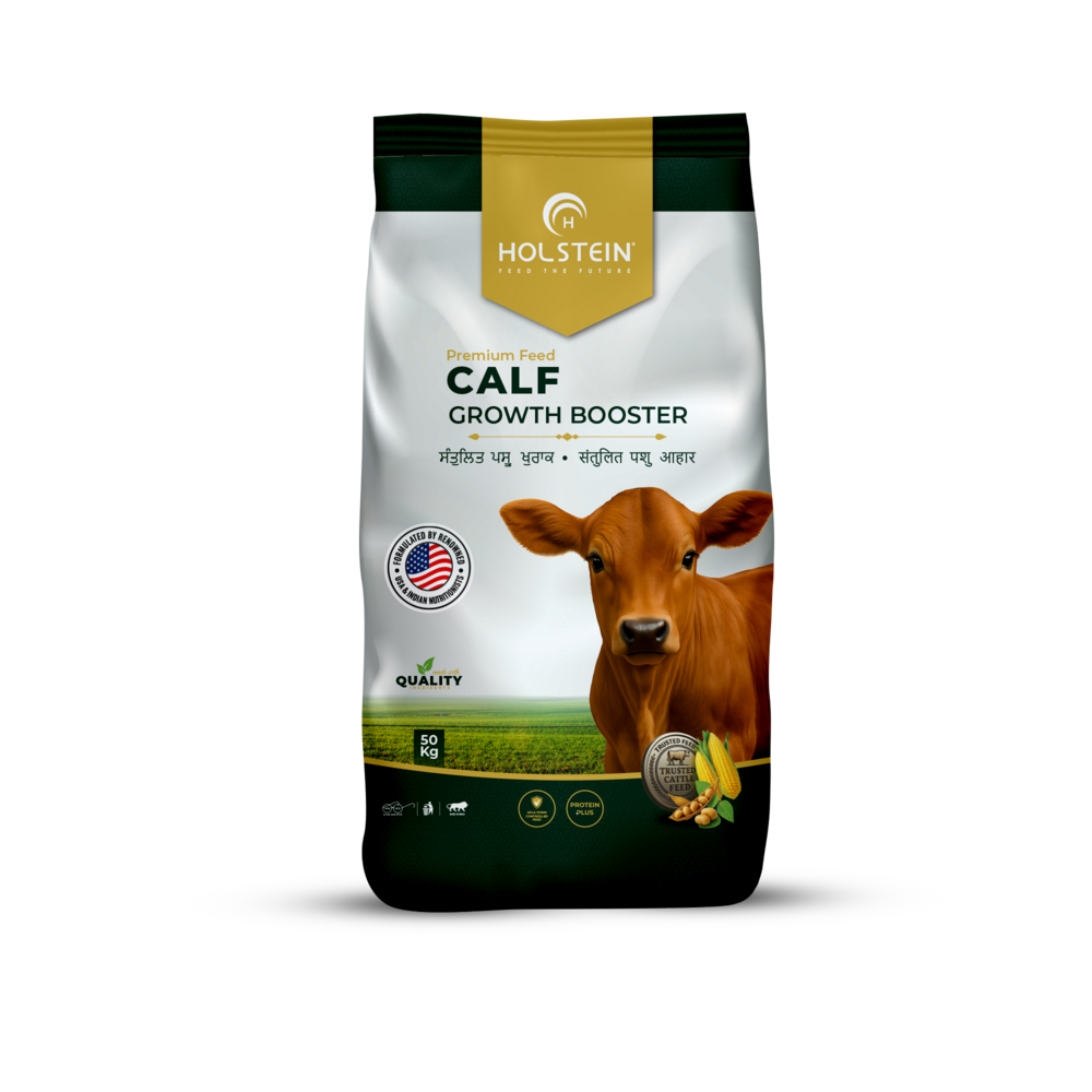 Holstein Calf Growth Booster - Best Organic Calf Growth Cattle Feed