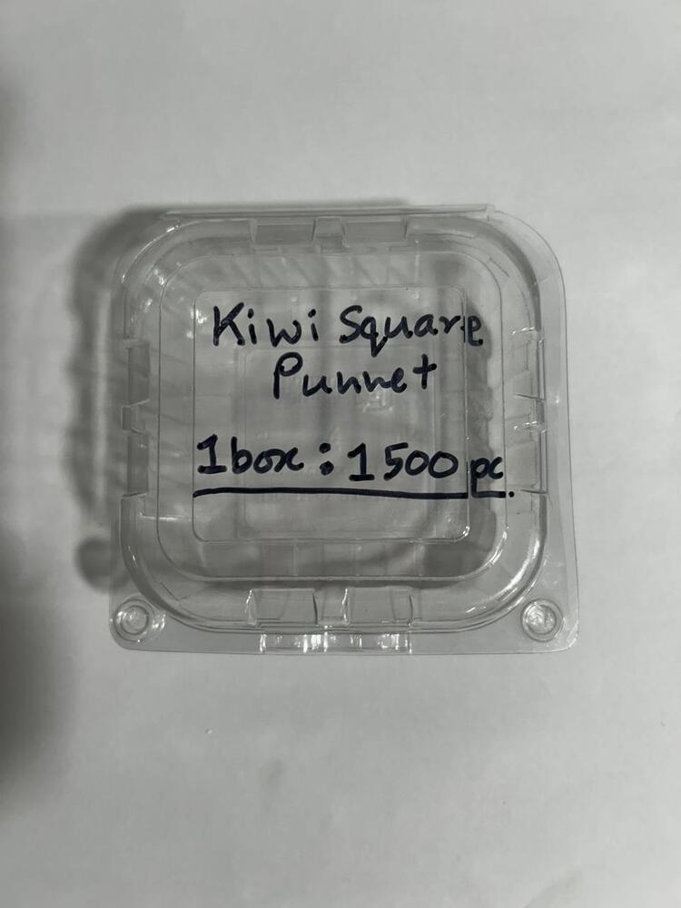 Punnet Kiwi Square 200gm