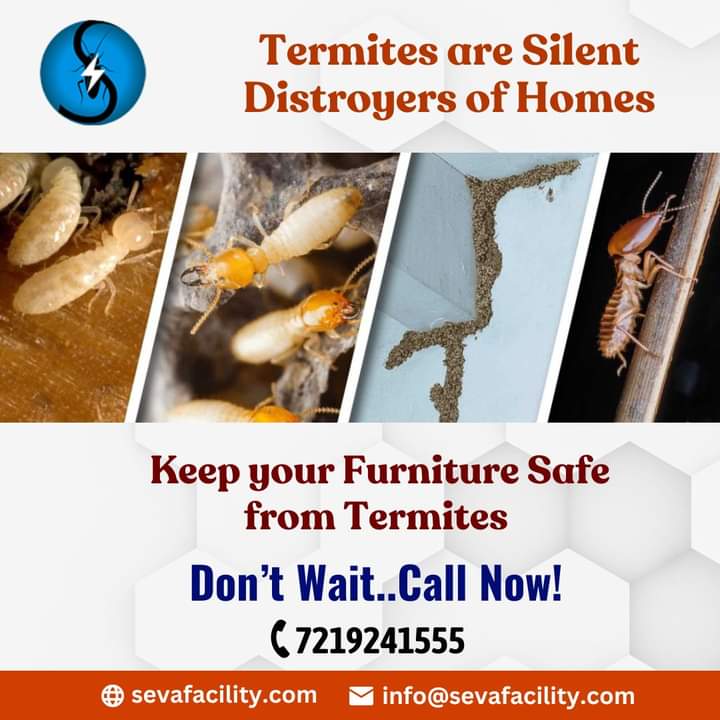 Termite Pest Control Services