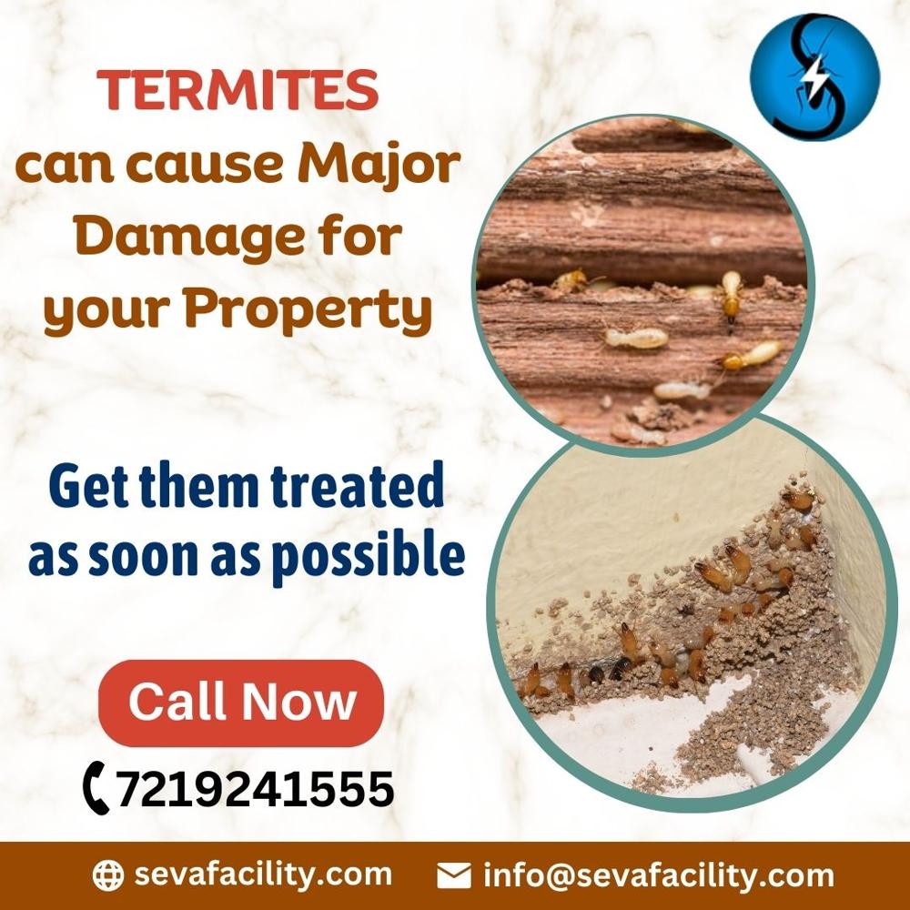 Termite Pest Control Services