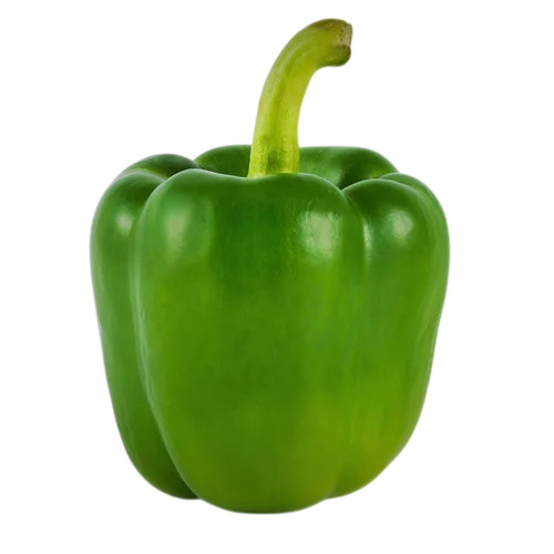 Green Capsicum - Moisture (%): 80% To Over 90%