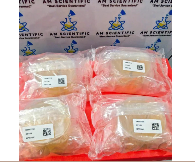 Luria Bertani Agar Plate Himedia