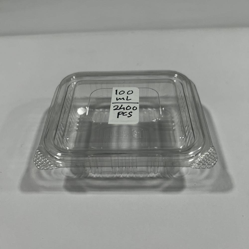 100ml Rectangle Hinged Box - Color: Transparent