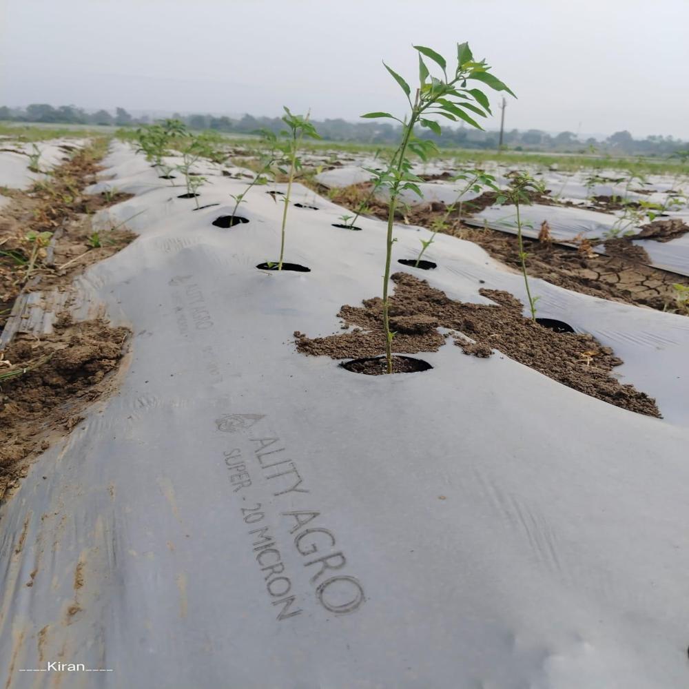 Super Quality Mulch Film