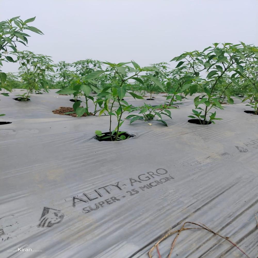 Super Quality Mulch Film