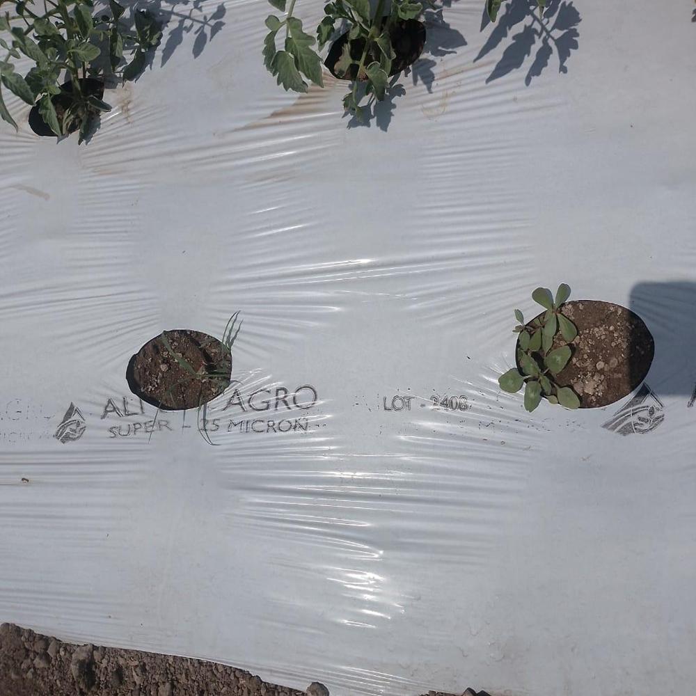 White Black Mulch Film