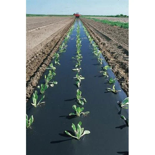 Black Biodegradable Mulch Film