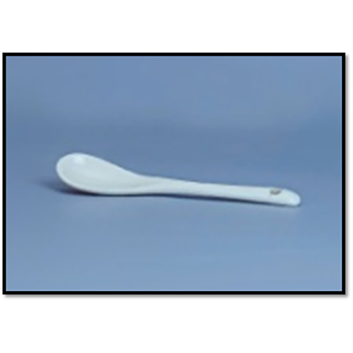 WR-1581 SMALL SPOON
