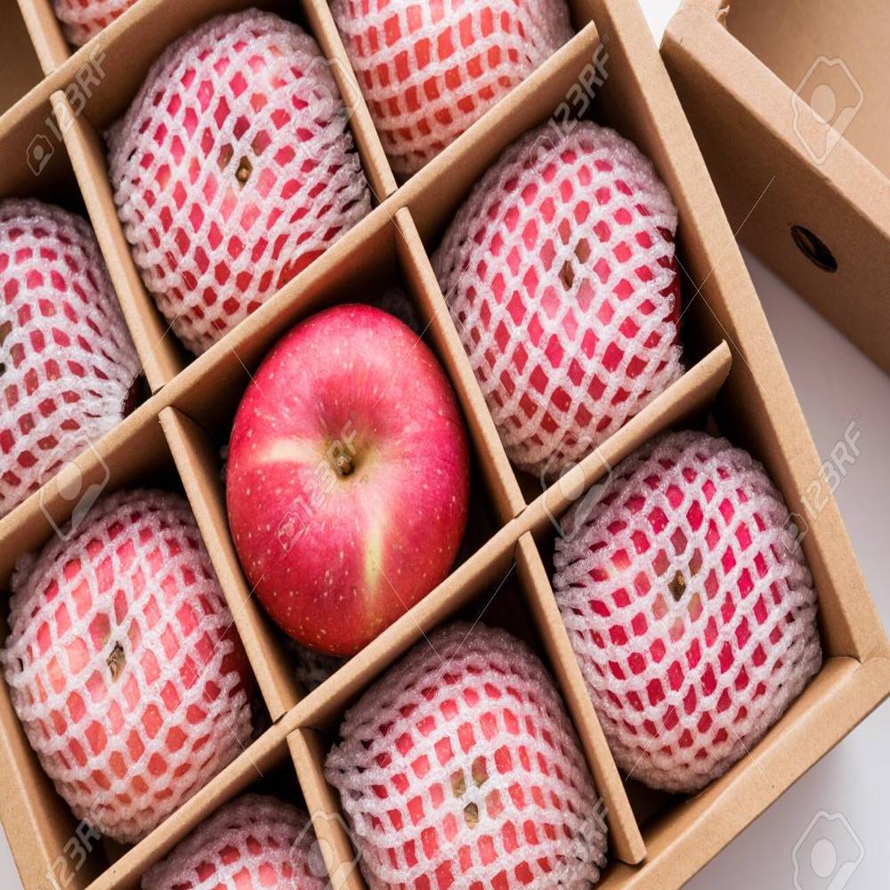 Foam Net 50mm White Coil