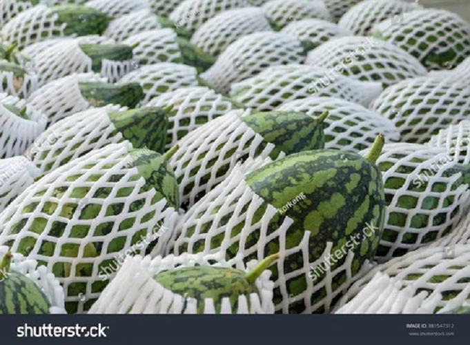 Foam Net 85mm White Cutting 12inch & 15inch