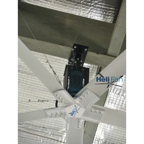 Big Hvls Fan - Color: White
