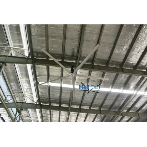 Big Hvls Fan - Color: White