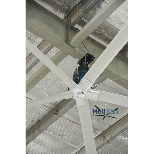 Big Hvls Fan - Color: White