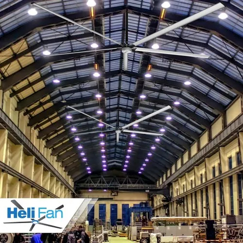Big Fans for Cattle Farming HVLS Fans Helifan Dairy Industries Animal husbandry