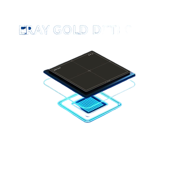 Edusoft Eray Gold Premium Flat Panel Detector - Application: Hospital
