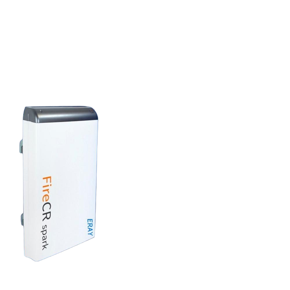 Edusoft Eray Fire Cr Spark - Weight: 21 Kilograms (Kg)