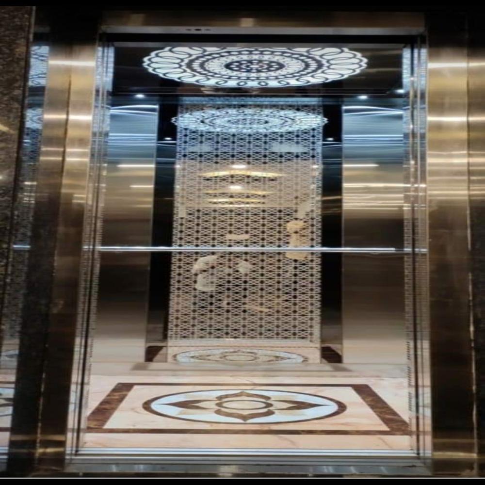 Machine Room-less Lifts(g+2) Geared - Capacity: 408 Kg