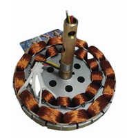 Round Shape Ceiling Fan Stator - Features: High Quality