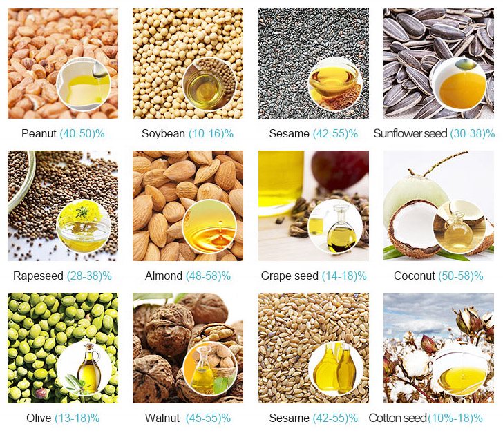 SESAME OIL PRESS MACHINE 