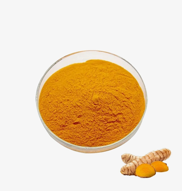 Curcumin Exctract 5% - Grade: Food