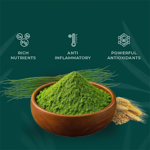 500Gm Wheatgrass Powder - Ingredients: Herbs