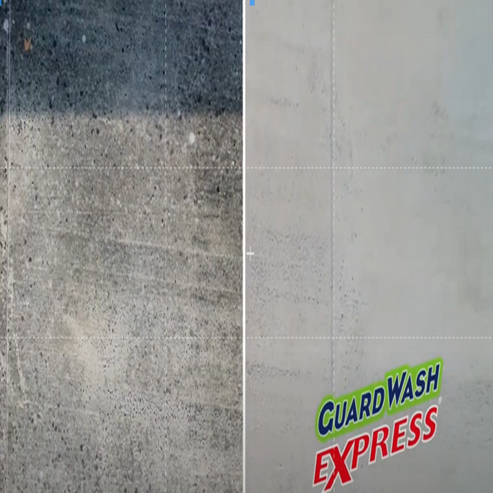 Guard Wash Express Heavy Duty Cleaner Black Spot Stone Concrete Wood Roof Wall No Rinse Fast