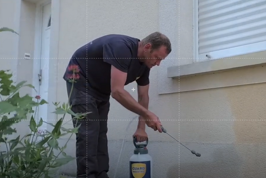 Guard Wash Express Heavy Duty Cleaner Black Spot Stone Concrete Wood Roof Wall No Rinse Fast