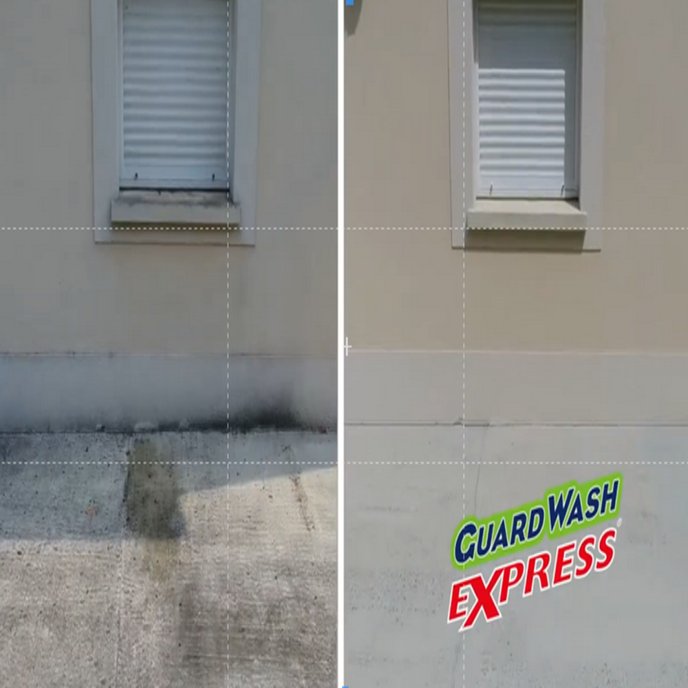 Guard Wash Express Heavy Duty Cleaner Black Spot Stone Concrete Wood Roof Wall No Rinse Fast