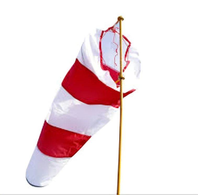 Illuminated windsock with stand