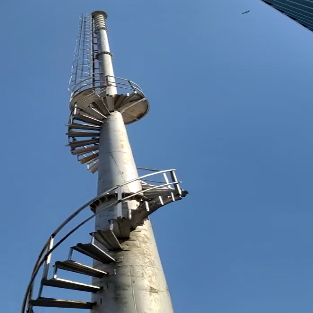 Animal Electric Cremation Furnace (OSSPL-AE)