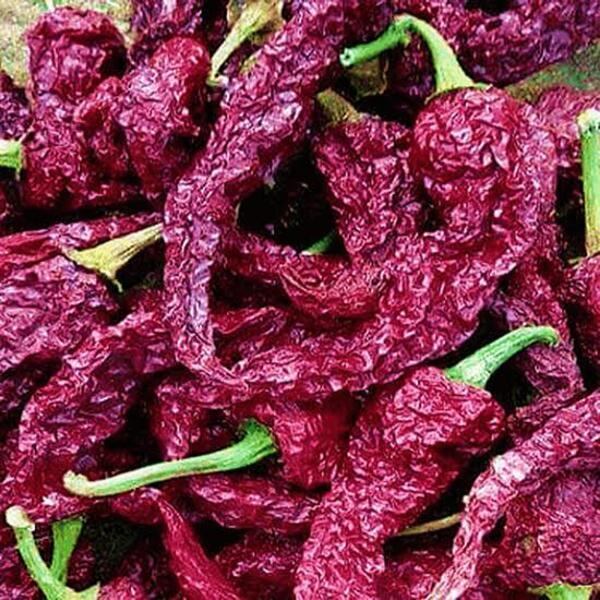 Byadgi Dabbi Chilli - Color: Red