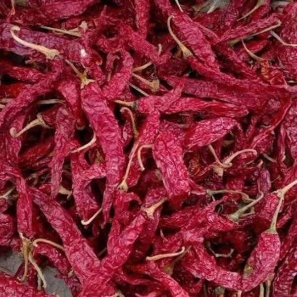 Byadgi Dabbi Chilli - Color: Red