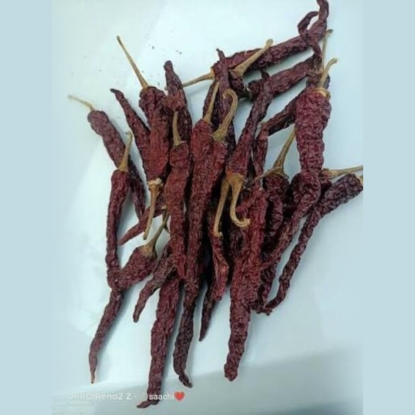 Byadgi KDL Chillies