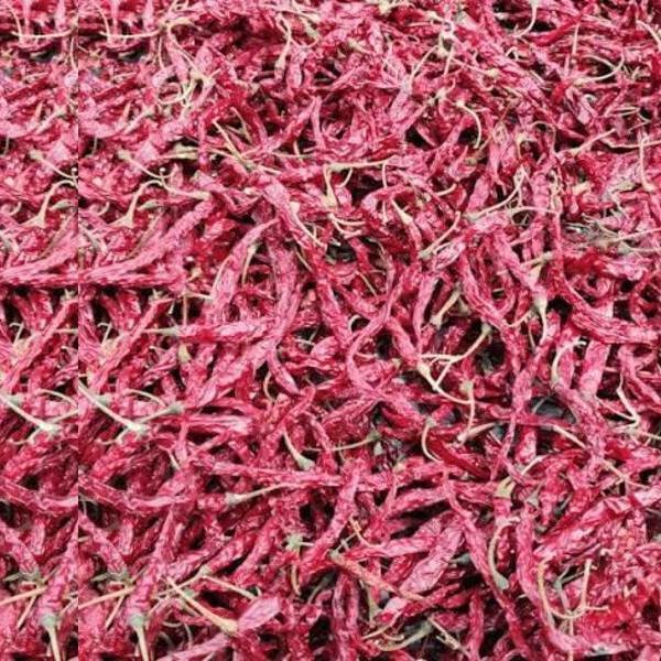 Byadgi KDL Chillies