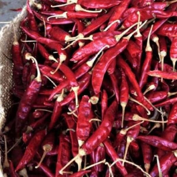 Romi 26 Chilli - Color: Red