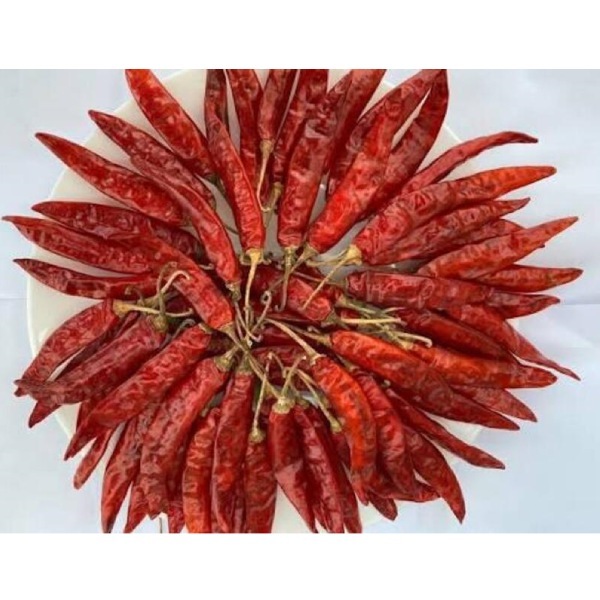 Romi 26 Chilli - Color: Red