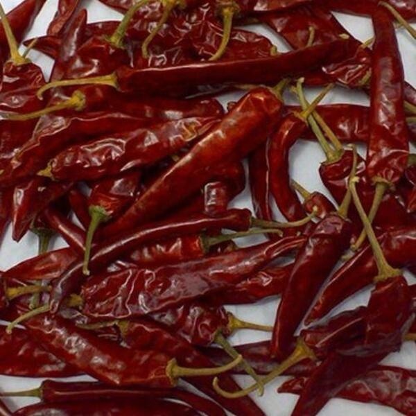 Indo 5 Chilli - Color: Red