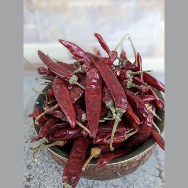 Indo 5 Chilli - Color: Red