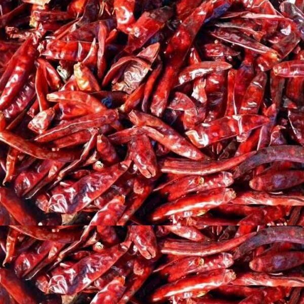 S-273 Wrinkle Dried Red Chillies