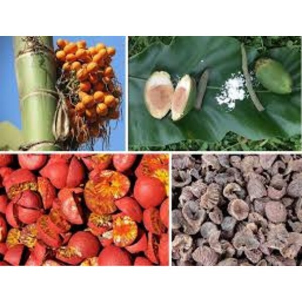 Areca Nut