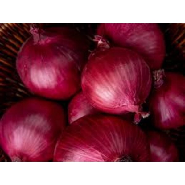Red Onion - Cultivation Type: Organic