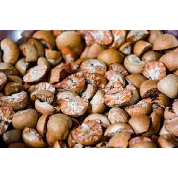 Supari Sirsi - Color: Brown