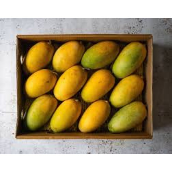 AlphonsoMango Fruit