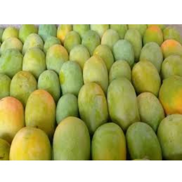 Alphonsomango Fruit - Color: Yellow