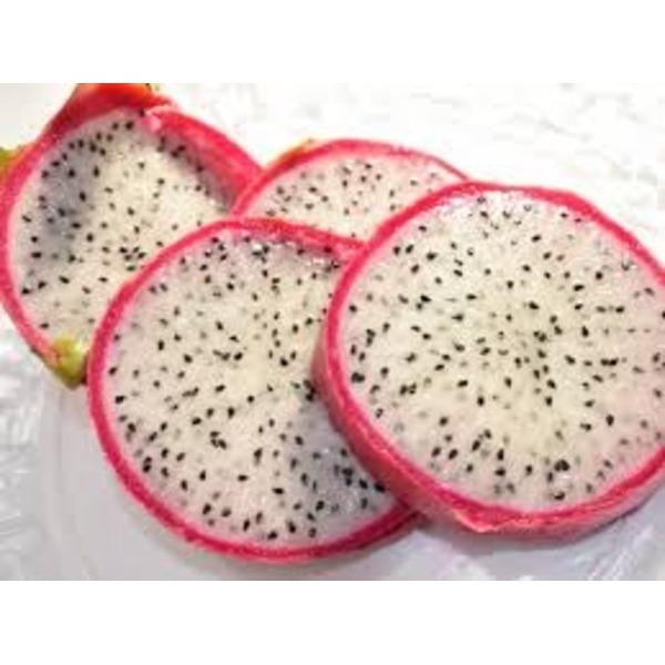 Dragon Fruit - Color: White