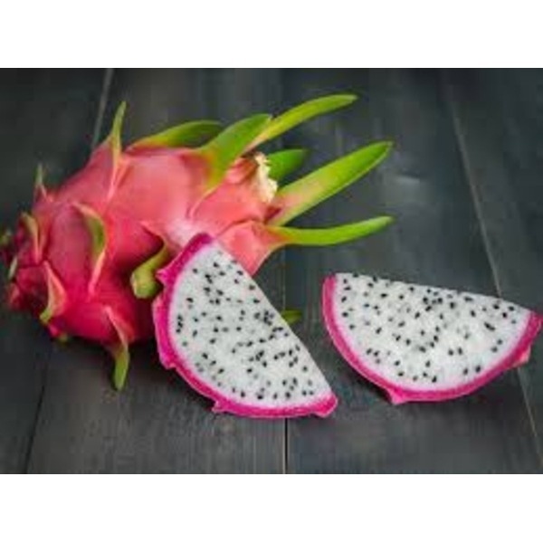 Dragon Fruit - Color: White